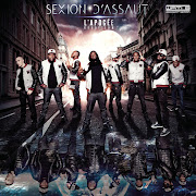 Disque d'or cover art