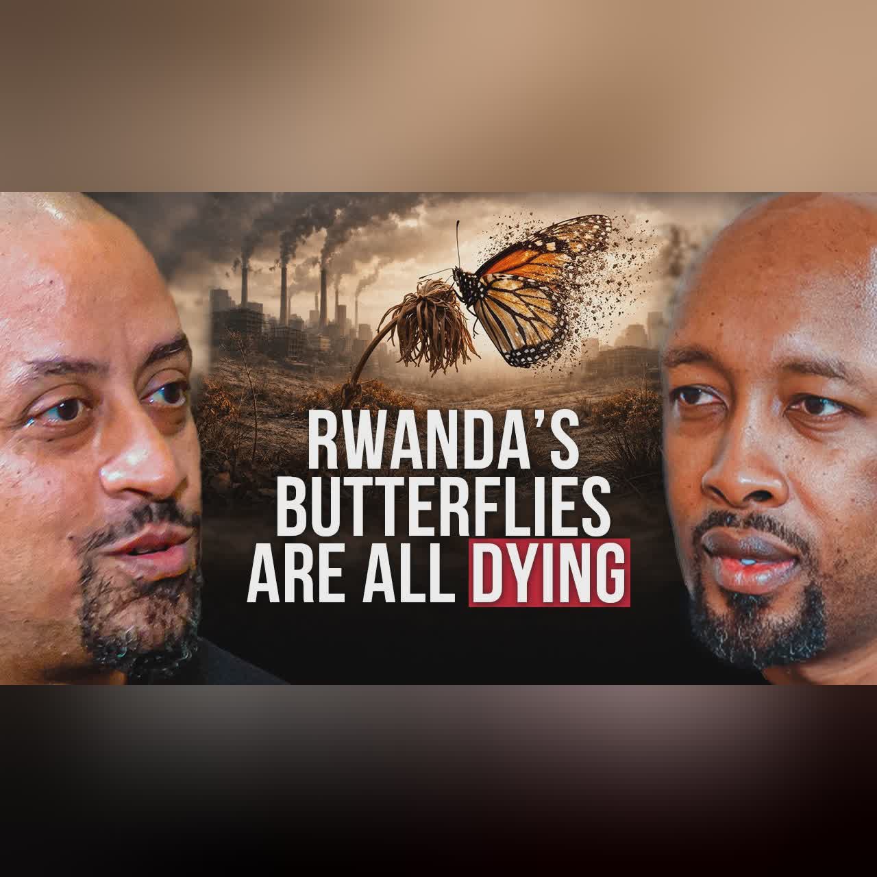 What Happened to Rwanda’s Wildlife? The Hidden Decline cover art