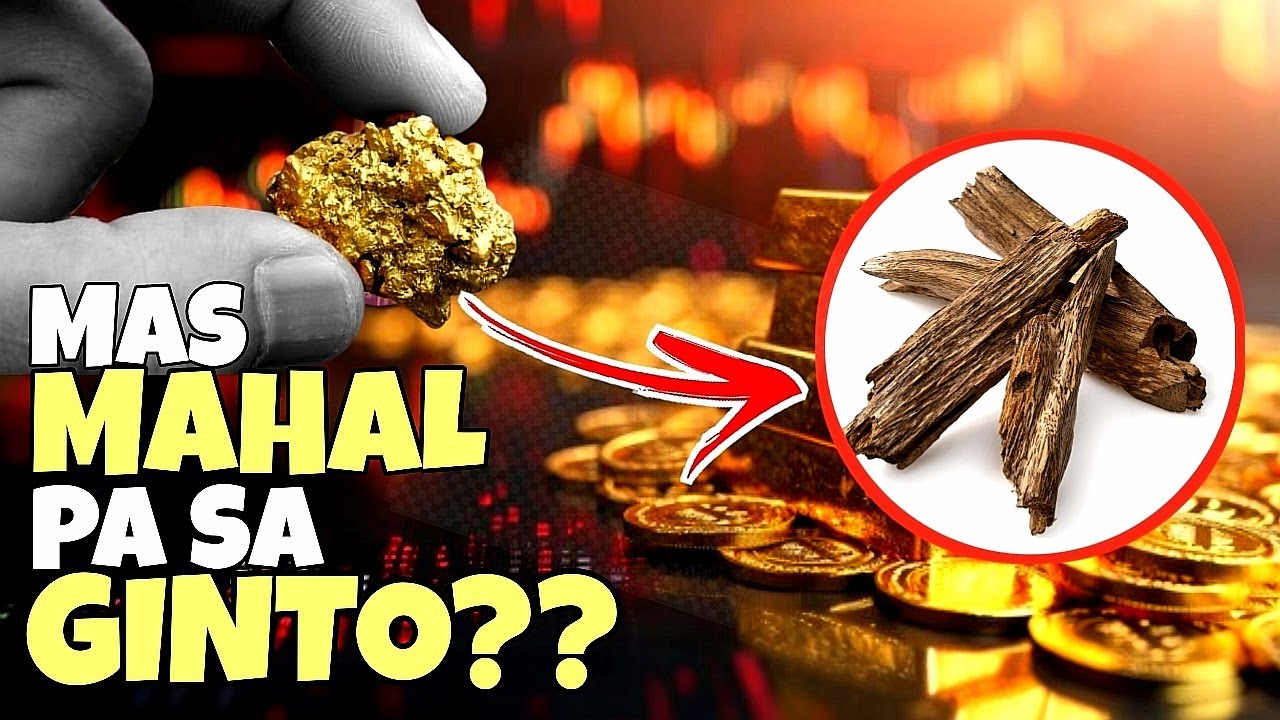 ANO BA ANG MERON SA PUNONG ITO, BAKIT NAPAKAMAHAL? | Why Agarwood so EXPENSIVE? | Lucastory cover art