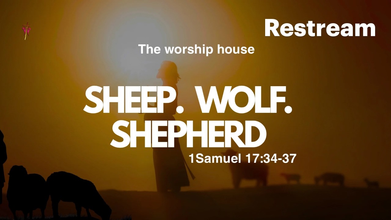 Sheep. Wolf. Shepherd | 2 0'clock Sunday Service cover art