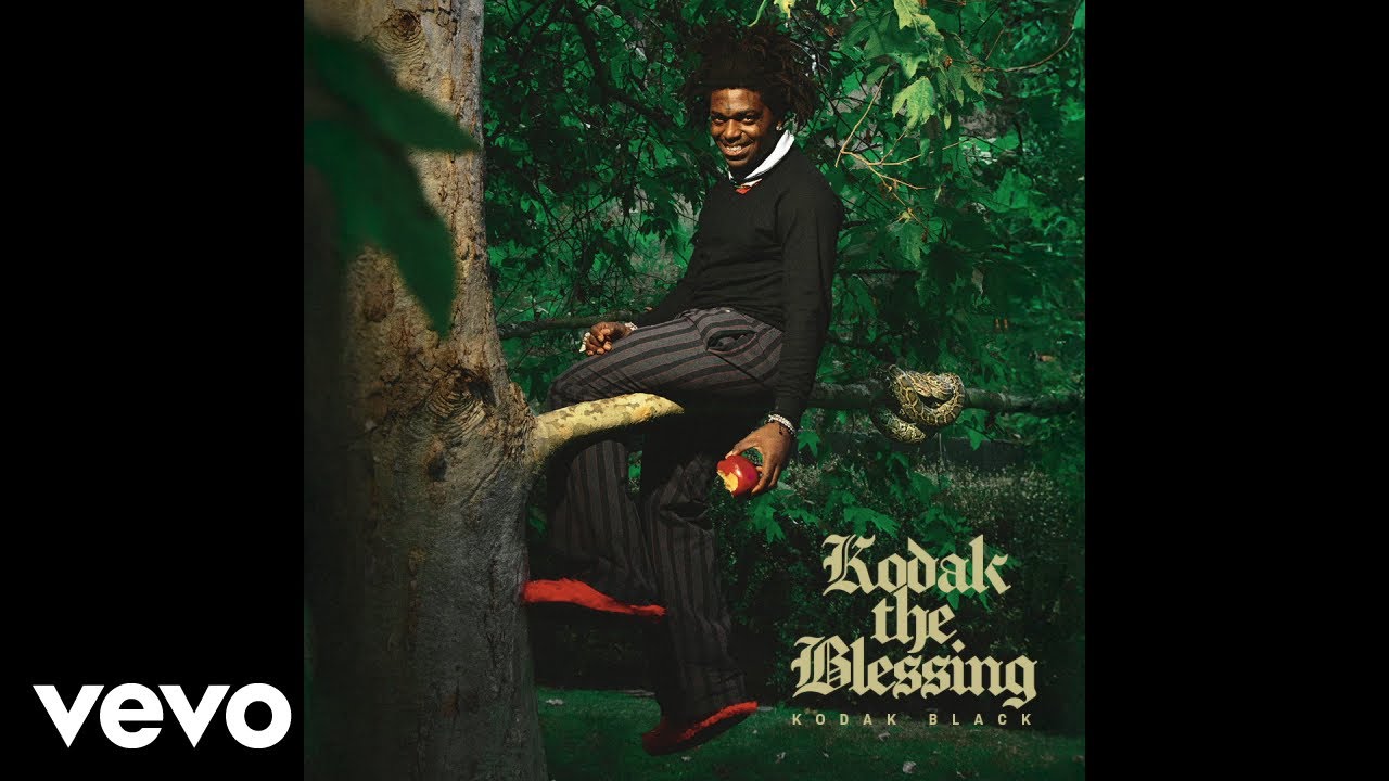 Kodak Black - Running It Up (Audio) cover art