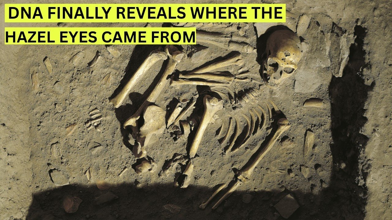 Ancient Mexican DNA Reveals The True Origin Of Hazel Eyes cover art