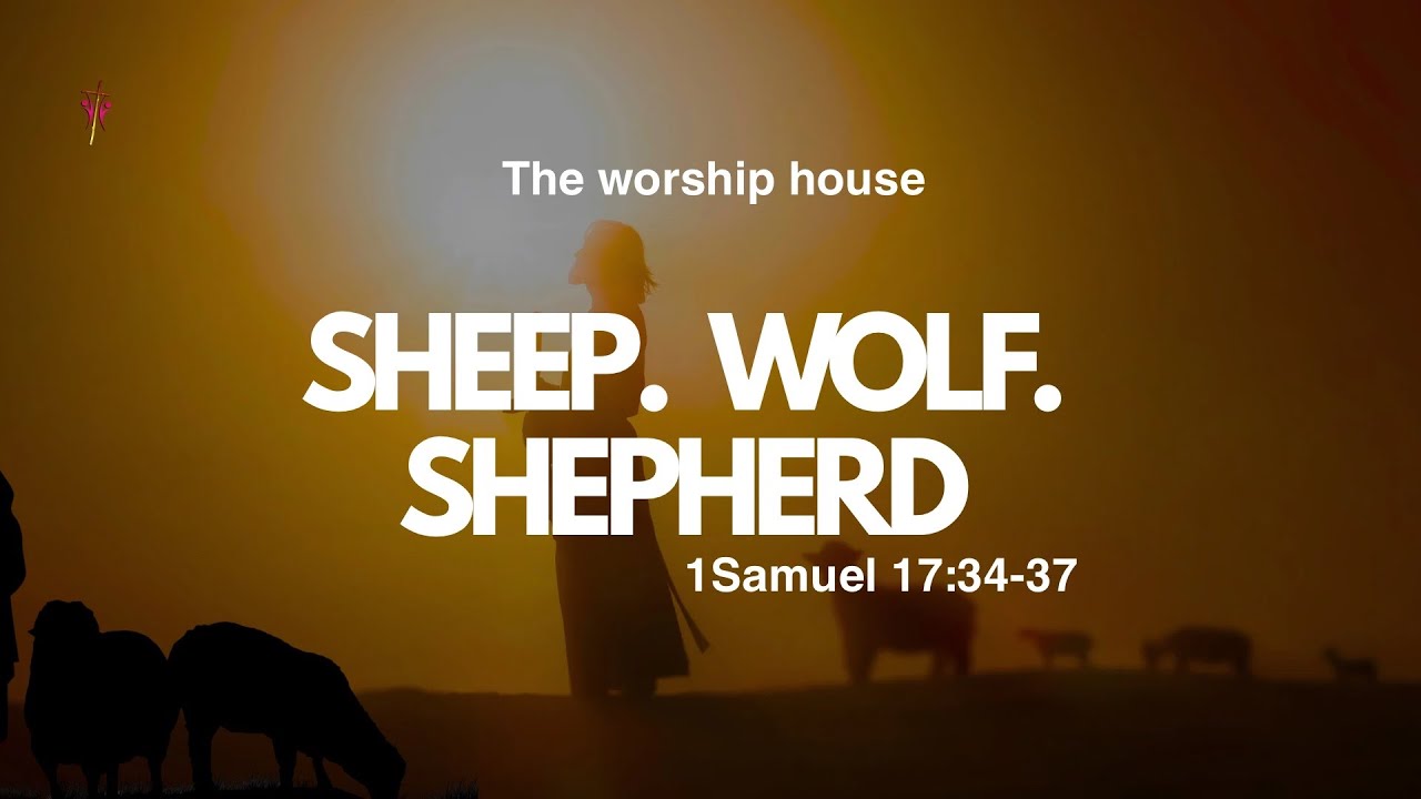 Sheep. Wolf. Shepherd | 10 0'clock Sunday Service cover art