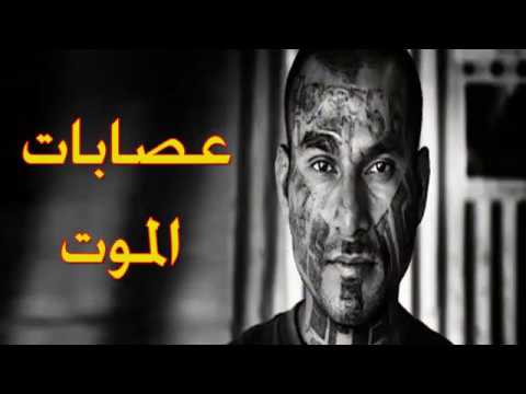 وتائقي | مكتب التحقيقات الفدرالي في مواجهة عصابات الموت cover art
