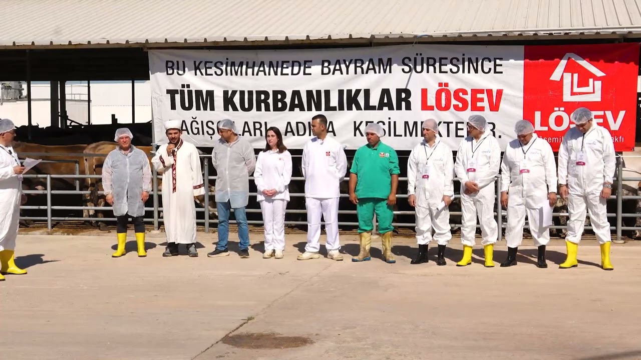 Adak Kurban Kesim Görüntüleri - 2026 cover art