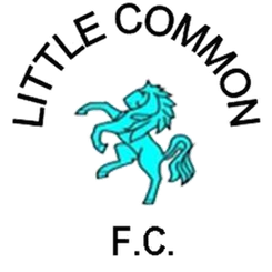 live-team-icon