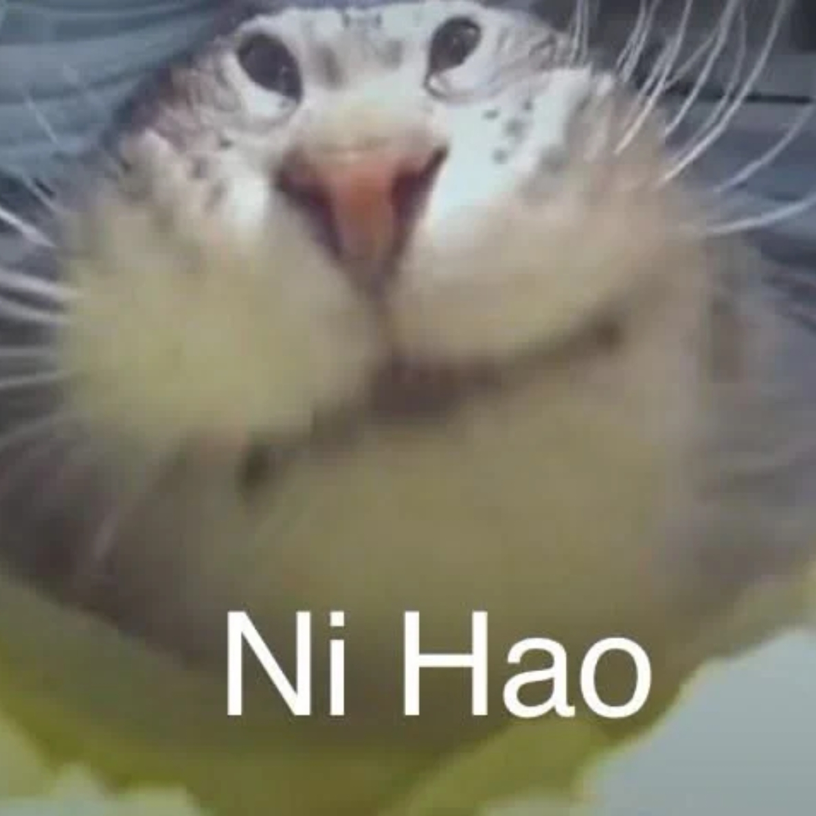 MINE