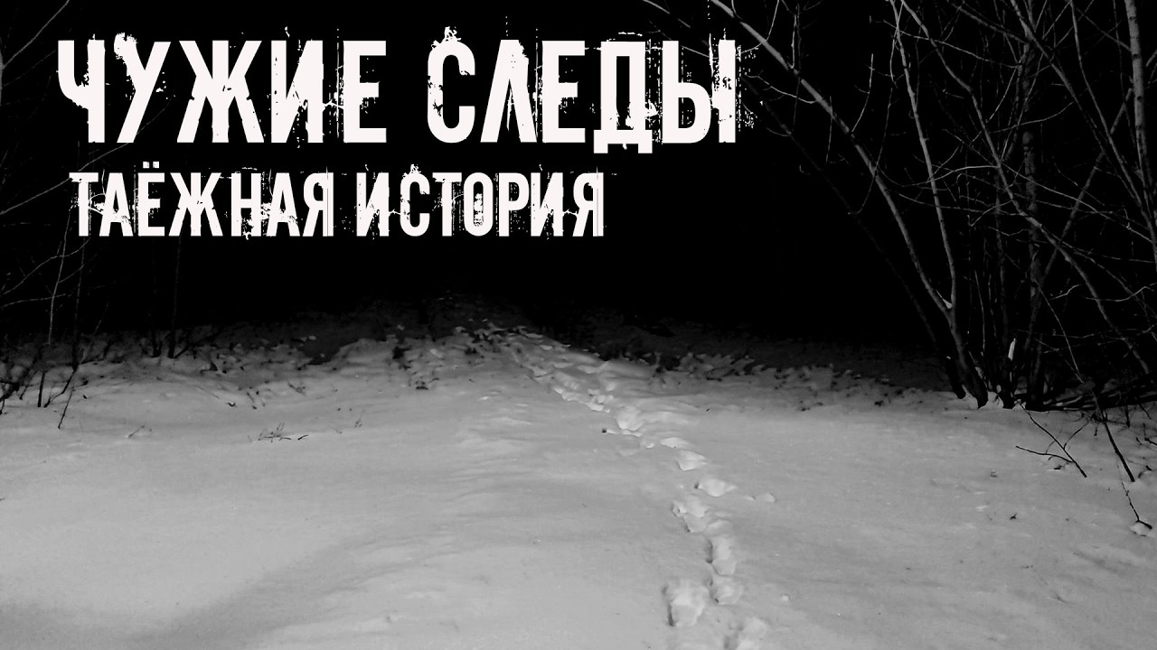 Чужие следы. Таёжная история! Страшные истории на ночь. Страшилки на ночь cover art