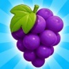 Fruit Pair Match