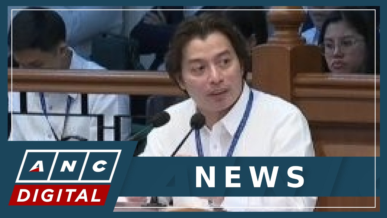 VP Duterte defense: Ex-COA auditor offered 'nothing new' | ANC cover art