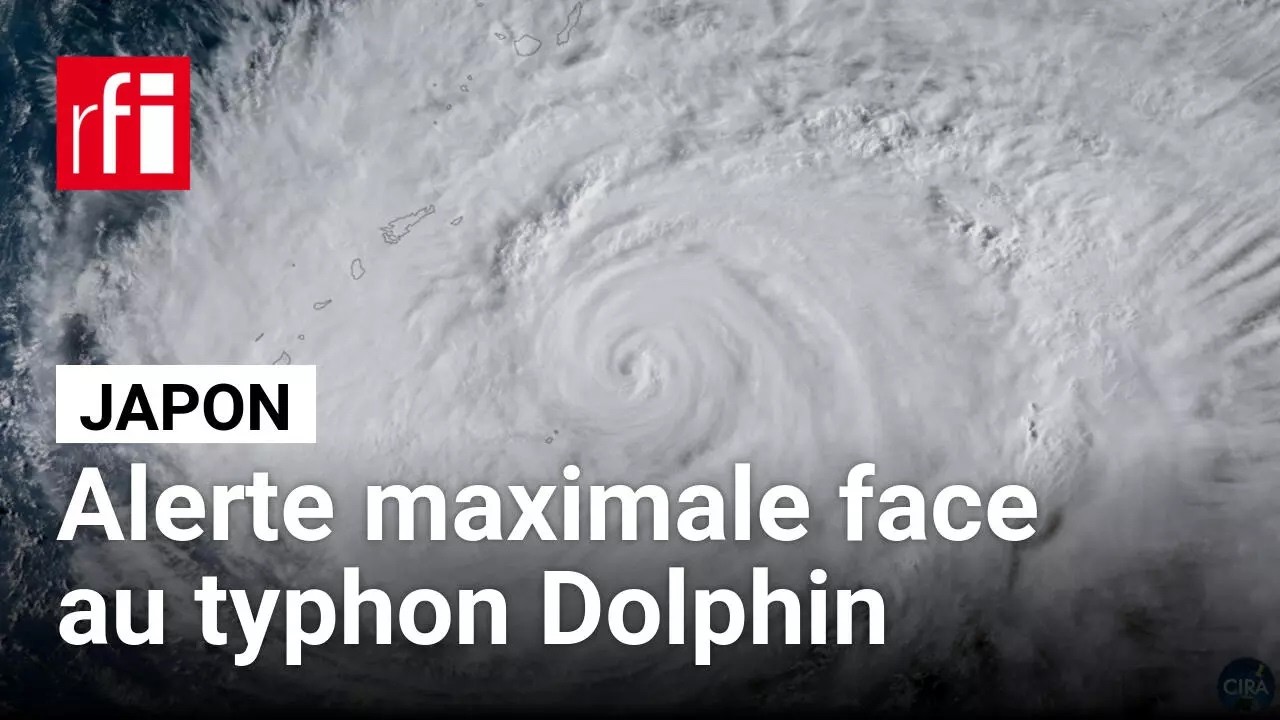 Asie : le Japon frappé par le typhon Dolphin, les autorités appellent à une "extrême prudence" cover art