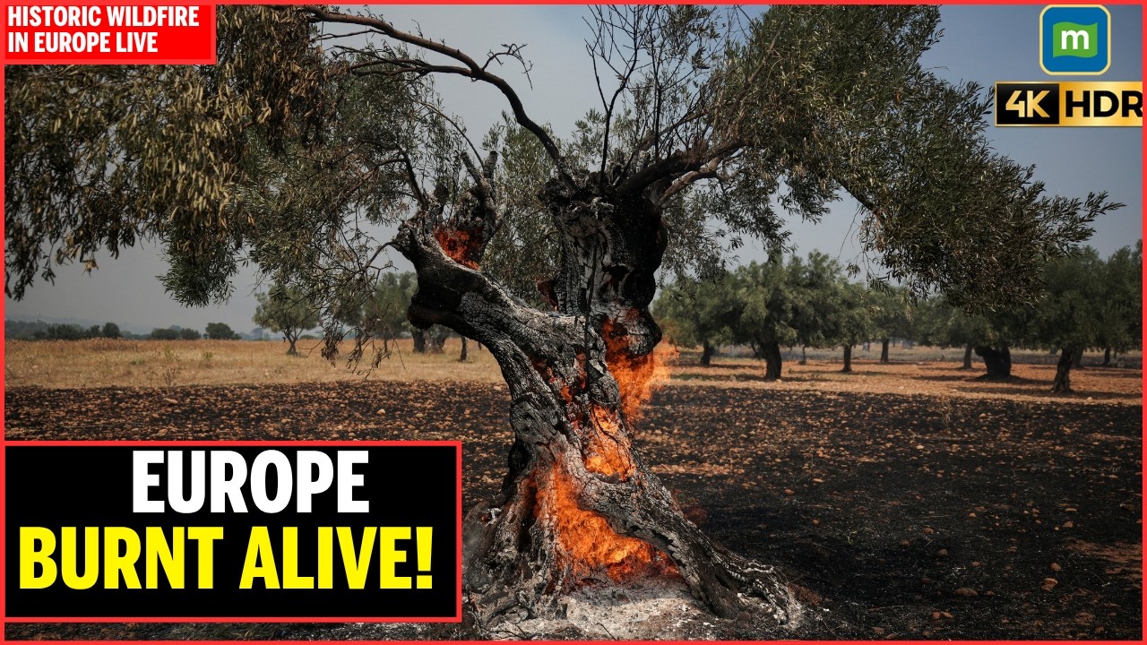 EUROPE BURNING LIVE: MASSIVE Wildfires Out of Control in Spain, France & Greece | Europe News Live cover art