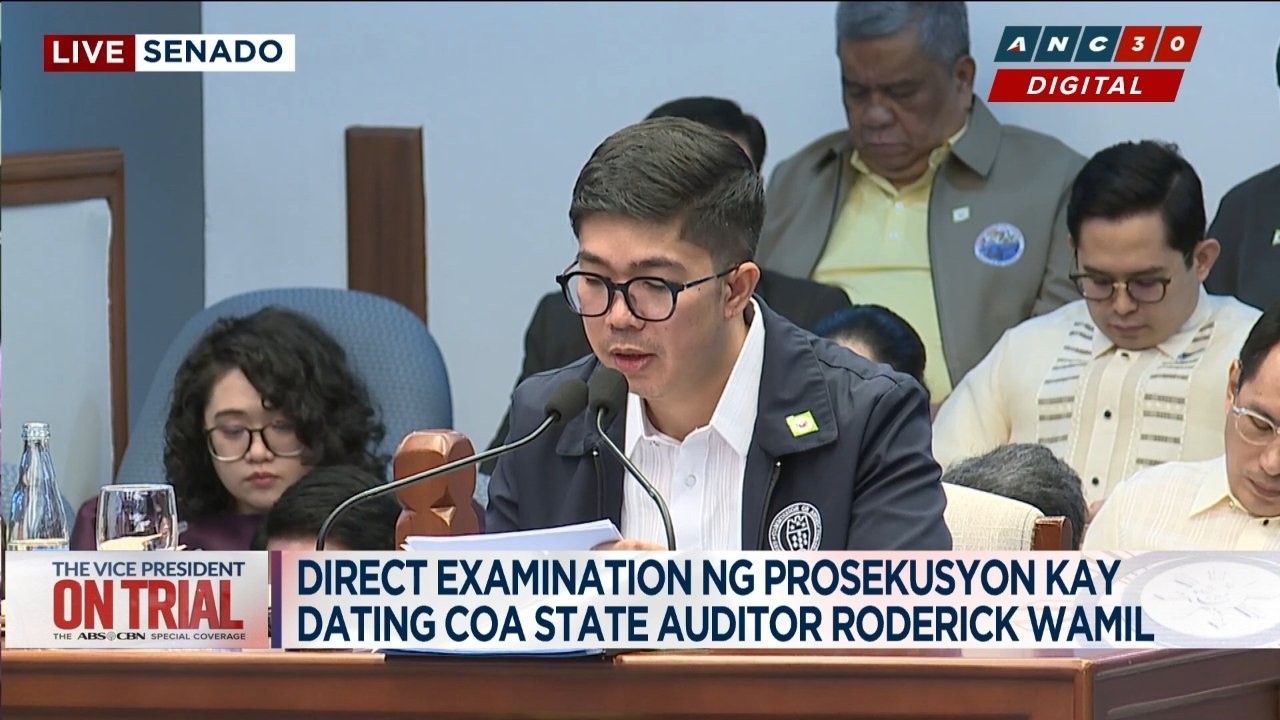 WATCH: Witness Roderick Wamil explains 'compliance post-audit' process of COA | ANC cover art