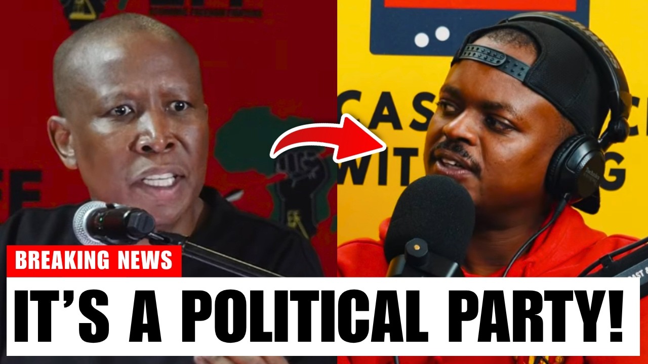Julius Malema BLASTS MacG & Podcast and Chill: "It’s a Political Party!" cover art