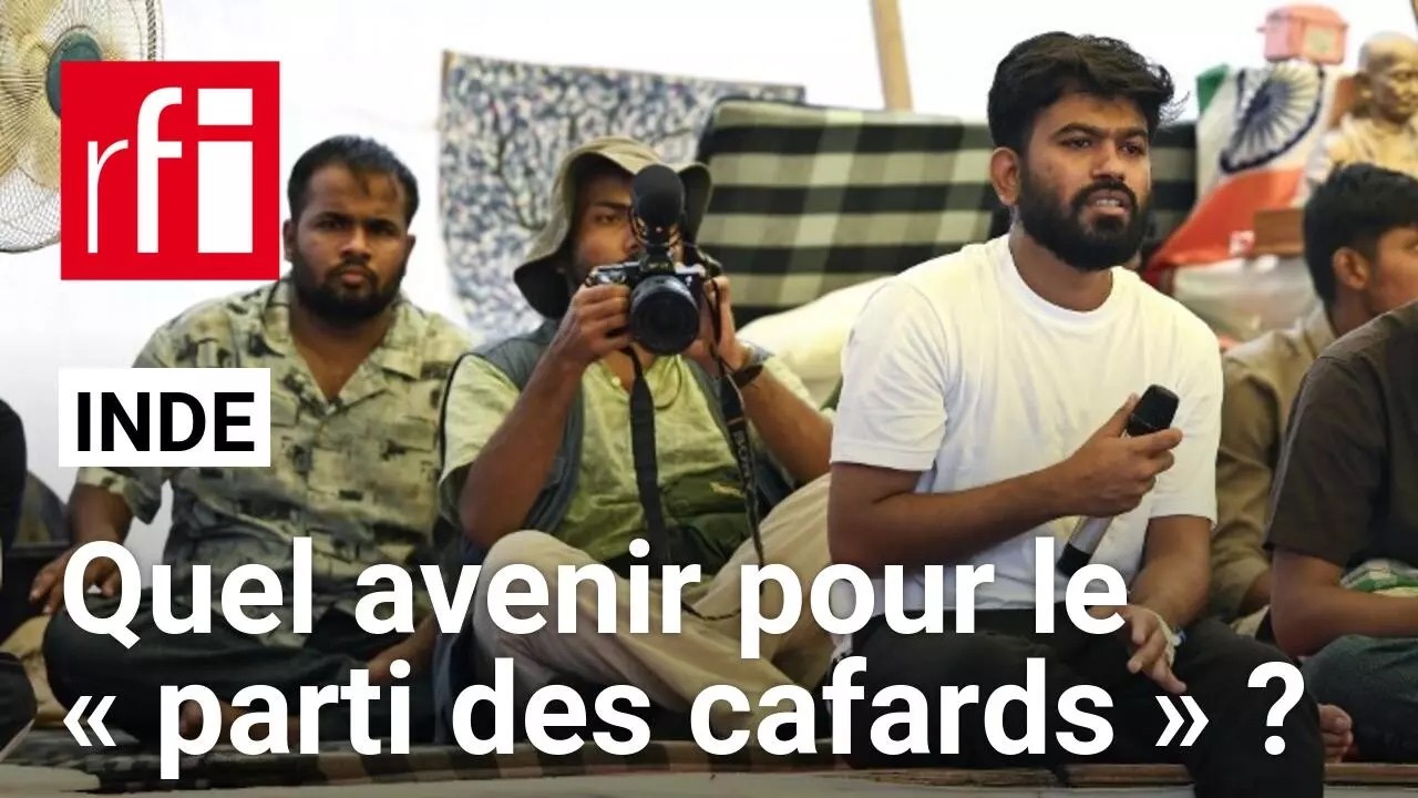 Inde : comment le « parti des cafards » entend poursuivre son mouvement ? • RFI cover art