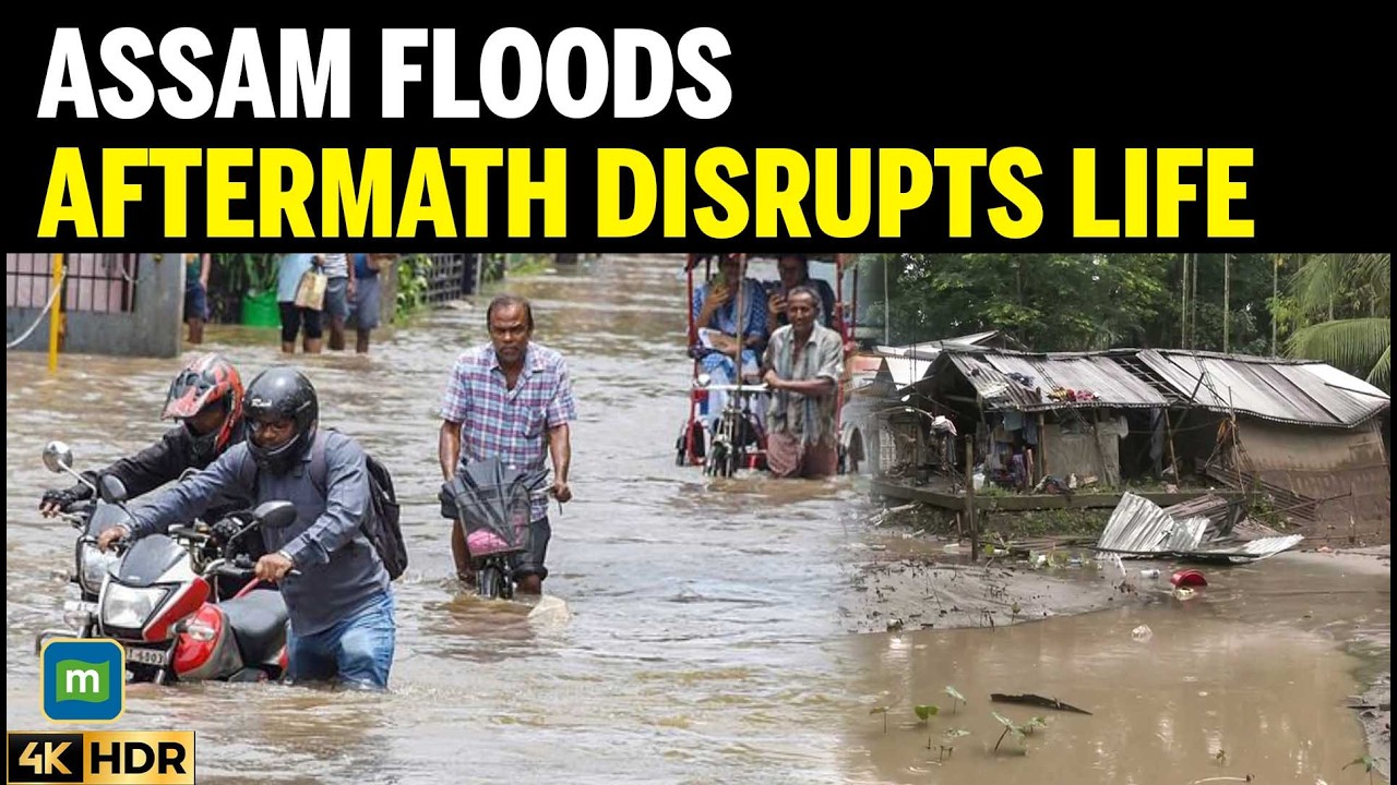 Assam Flood Crisis Deepens; Sivasagar District Battles Aftermath, Life Remains Disrupted cover art