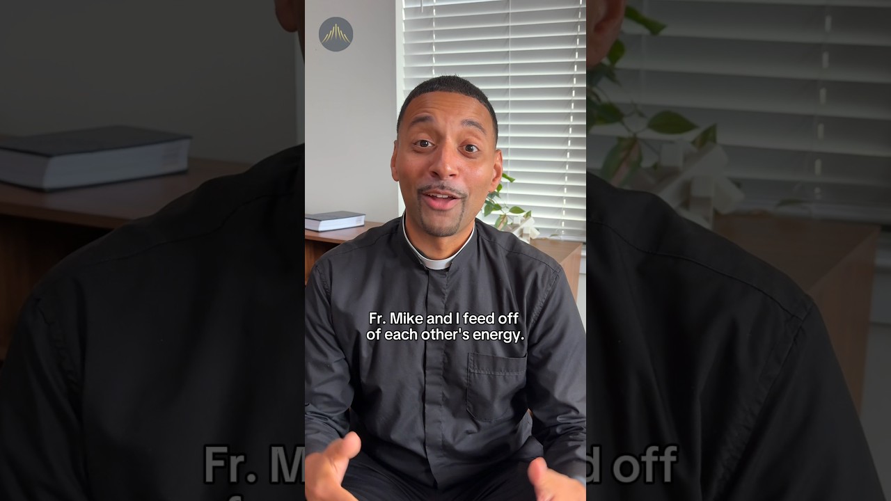 They Always Have A Lot of Fun... (w/ Fr. Mike Schmitz & Fr. Josh Johnson) cover art