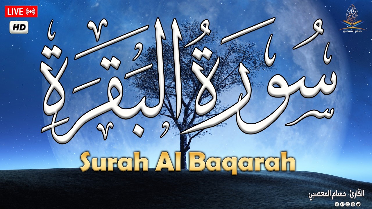 سورة البقرة طاردة الشياطين 💚 قران كريم بصوت جميل ومريح جدا 💚 تلاوة هادئة للنوم والراحة النفسية😴 cover art