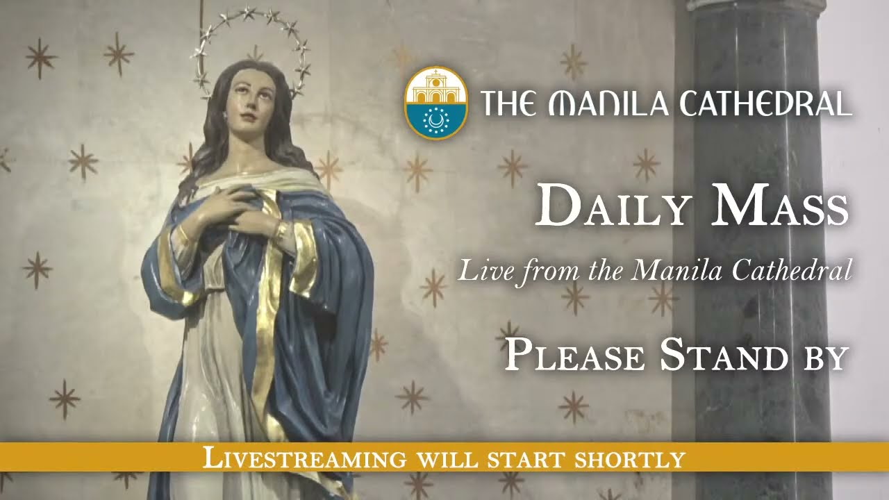 Daily Mass at the Manila Cathedral - August 11, 2026 (7:30am) cover art