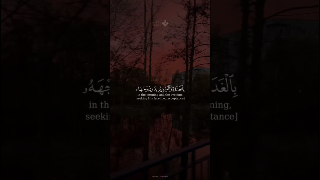( واصبر نفسك مع الذين يدعون ربهم ) |  سورة الكهف | محمد صديق المنشاوي cover art