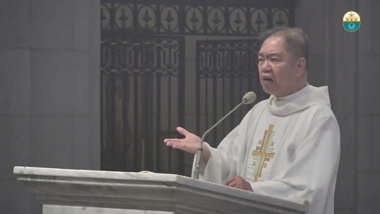 Cathedral Homilies - August 11 (Msgr. Rolly) cover art