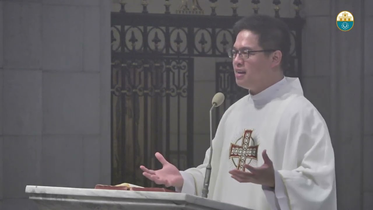 Cathedral Homilies - August 12 (Fr. Viel) cover art