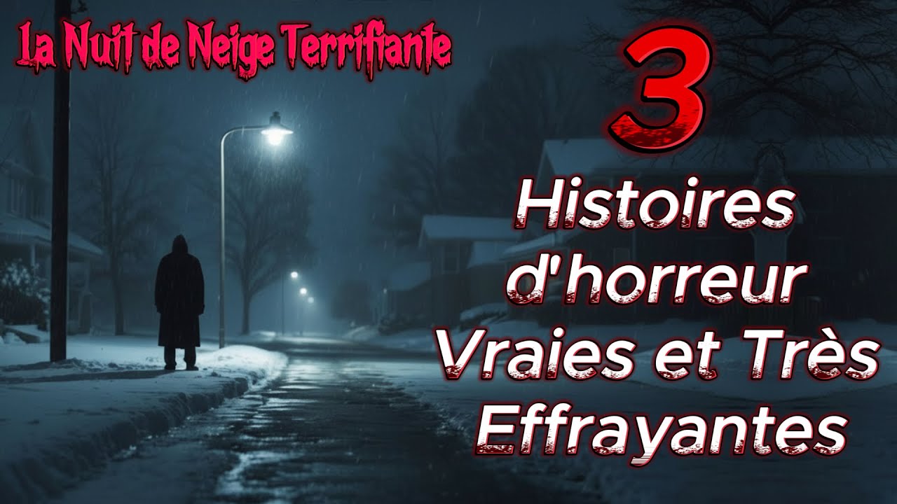 3 Histoires d'horreur Vraies | La Nuit de Neige Terrifiante cover art