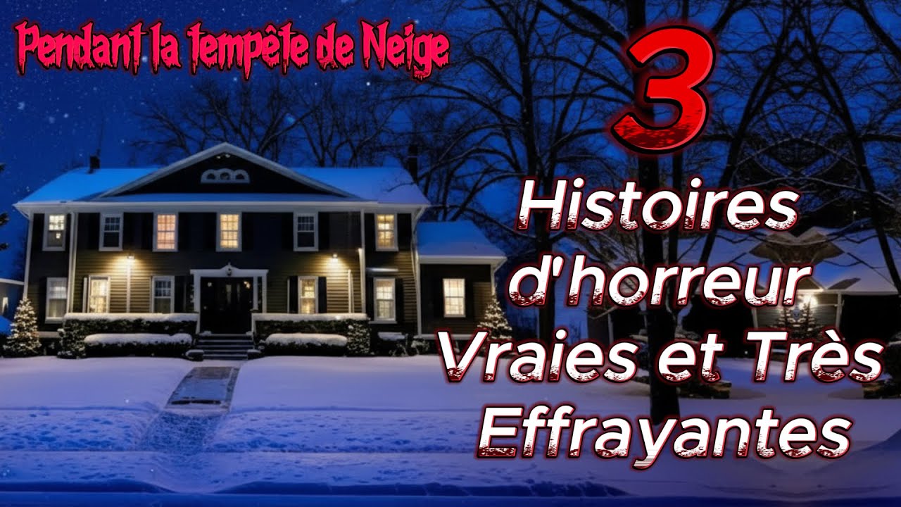 3 Histoires d'horreur Vraies | Cela s’est Produit Pendant la tempête de Neige cover art
