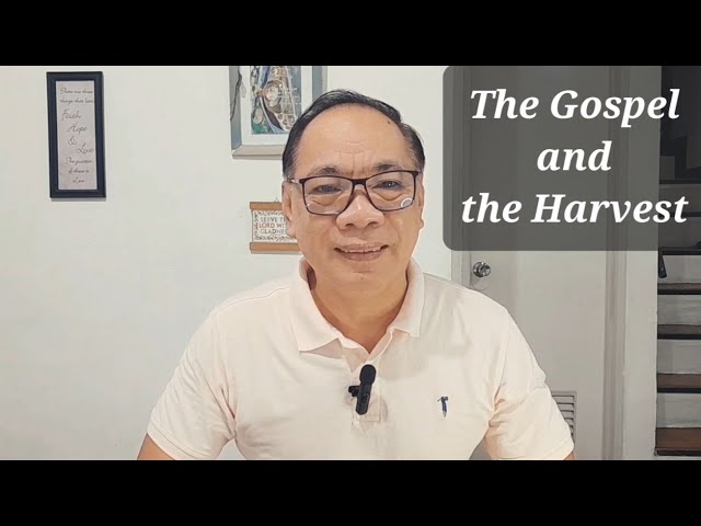 Daily Devotions in Tagalog: The Gospel and the Harvest cover art