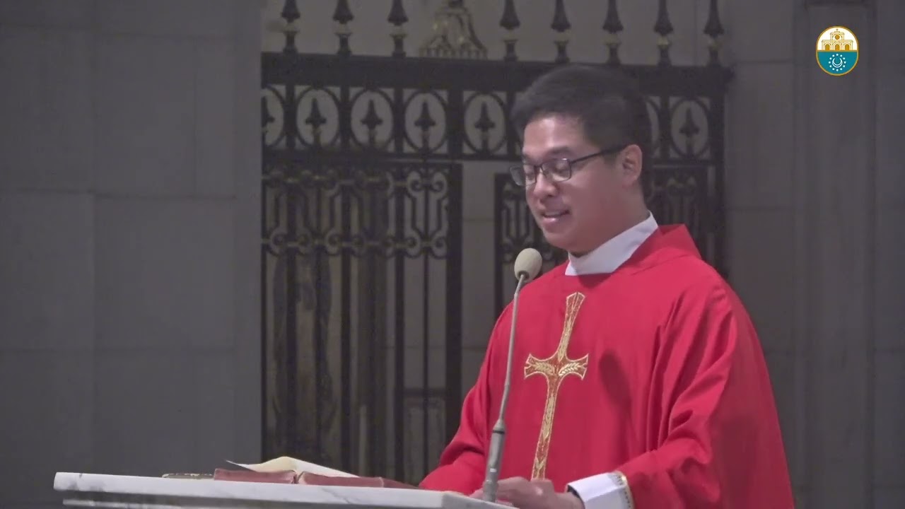Cathedral Homilies - August 14 (Fr. Viel) cover art