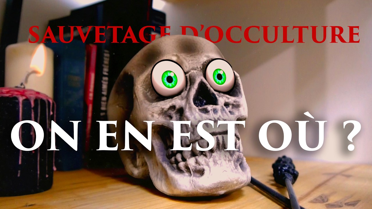 Après 1 an de dons : on fait le point ! cover art