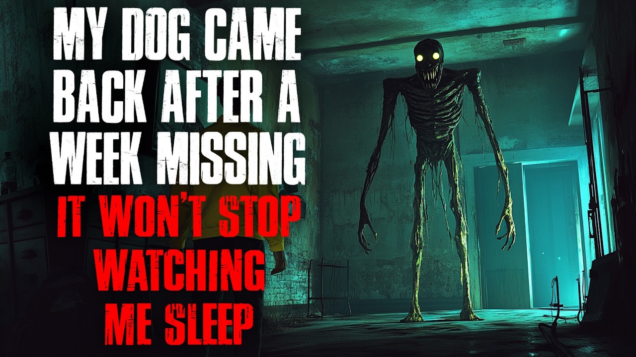 My Dog Came Back After a Week Missing. It Won't Stop Watching Me Sleep. cover art