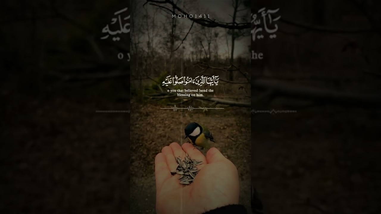 اللهم صلِ وسلم عليه وعلى آله وصحبه أجمعين 🌹الجمعة #الصلاة_على_النبي #جدة #اكسبلور  #مونتاجي cover art