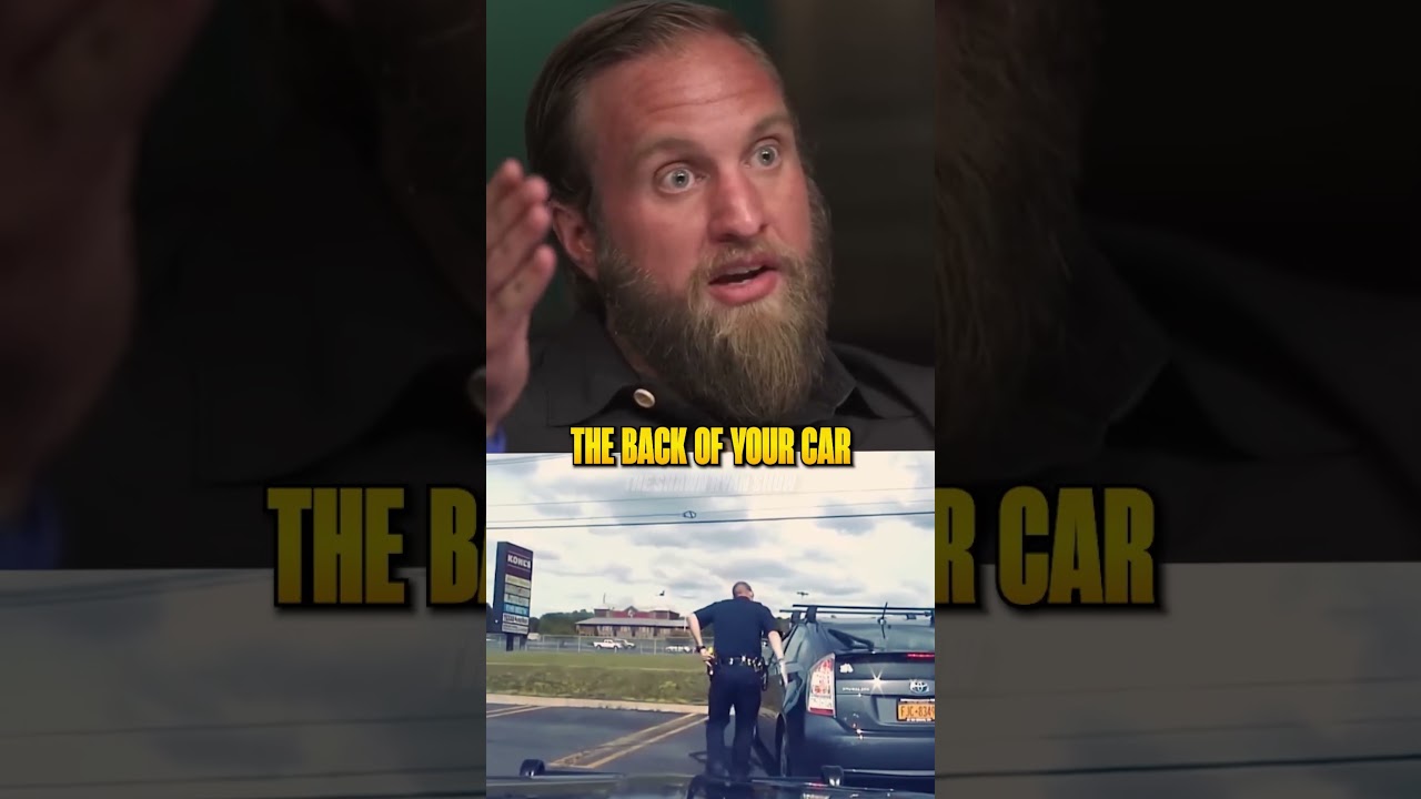 What Cops Fear During Every Traffic Stop π³ cover art