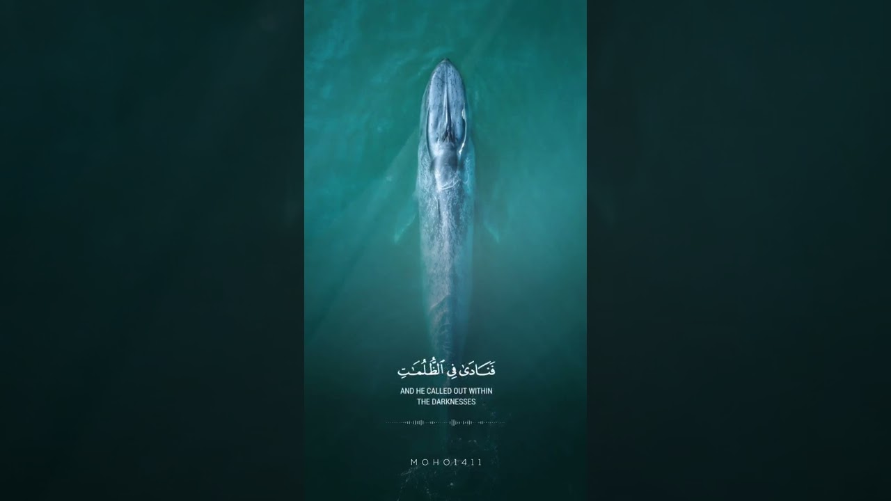 لاإله إلا أنت سبحانك إني كنت من الظالمين #منصور_السالمي #قران_كريم #يونس #جدة_الان cover art