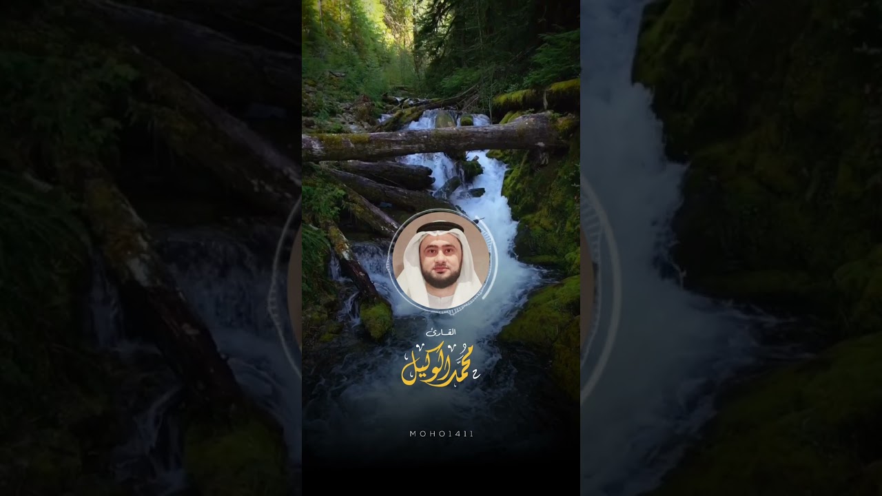 ماتيسر من سورة الأنعام القارئ #محمد_الوكيل #قران #quran #تلاوات #moho1411 cover art