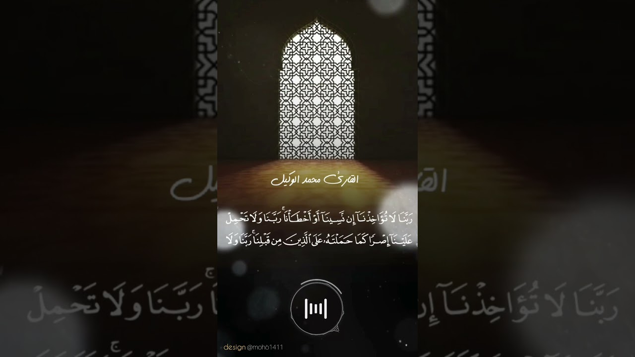محمد عبدالرحمن cover art