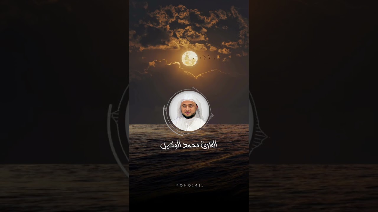ماتيسر من سورة آل عمران | القارئ محمد الوكيل cover art