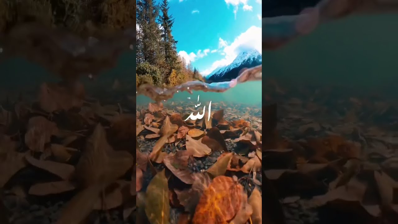 عرفتك يا رب قبل المتاب cover art