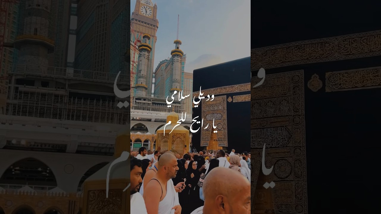وديلي سلامي يا رايح للحرم ♥️🕋 cover art