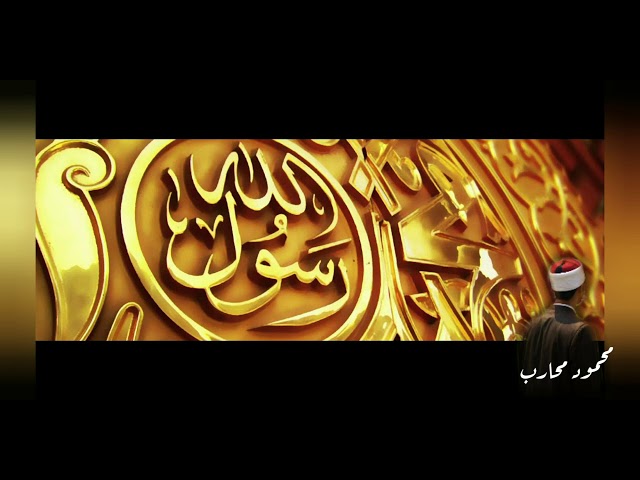 محمود محارب Mahmoud Muhareb cover art