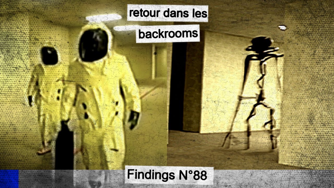Ce YOUTUBER qui est TOMBÉ dans les BACKROOMS (Kane Pixels) - Findings N°88 cover art