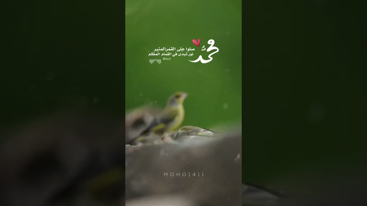 صلوا على القمر المنير محمد ❤ نور تبدى في الغمام المظلم #صلوا_على_النبي #الجمعه #محمد #مونتاجي cover art