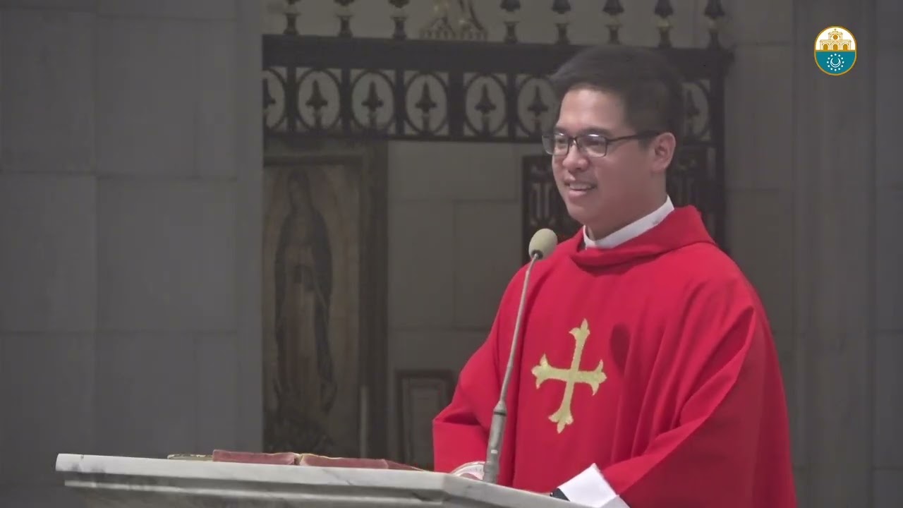 Cathedral Homilies - August 13 (Fr. Viel) cover art