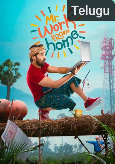 Mr. Work from Home [Telugu]