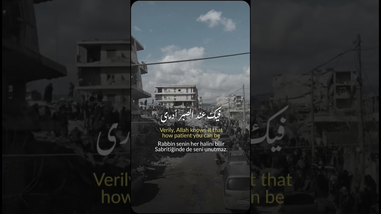 أيها الموجوع صبرًا | عبد السلام حوى cover art