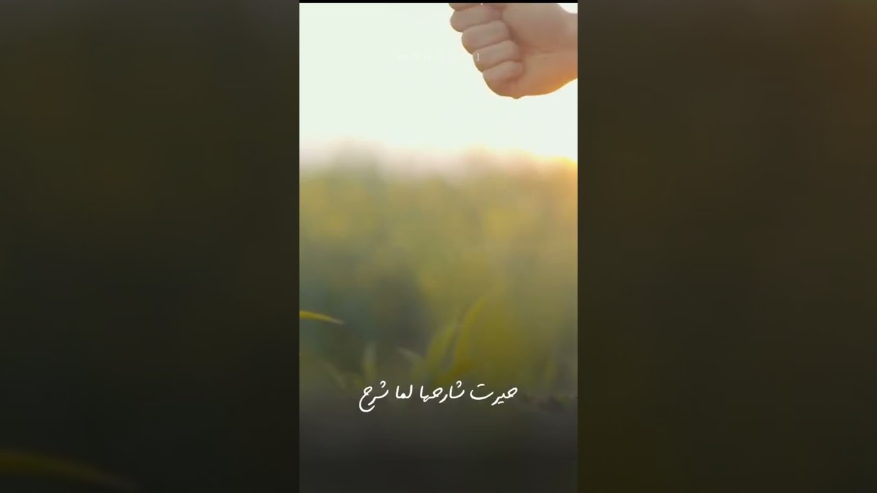 #قصيدة هكذا الدنيا سرور ومرح إلقاء / عبدالحكيم الصافي cover art