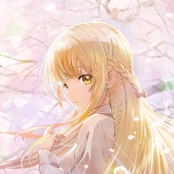 author avatar