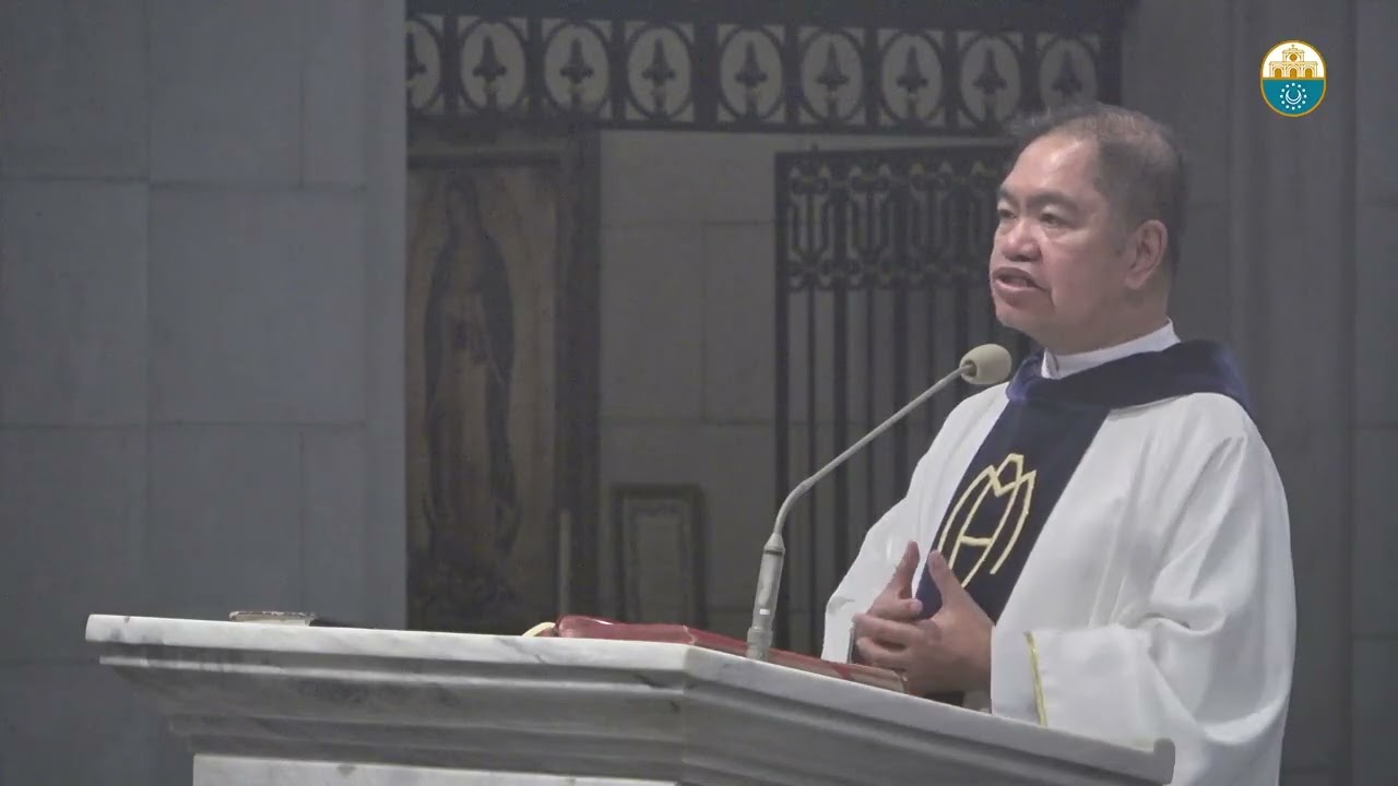 Cathedral Homilies - August 15 (Msgr. Rolly) cover art