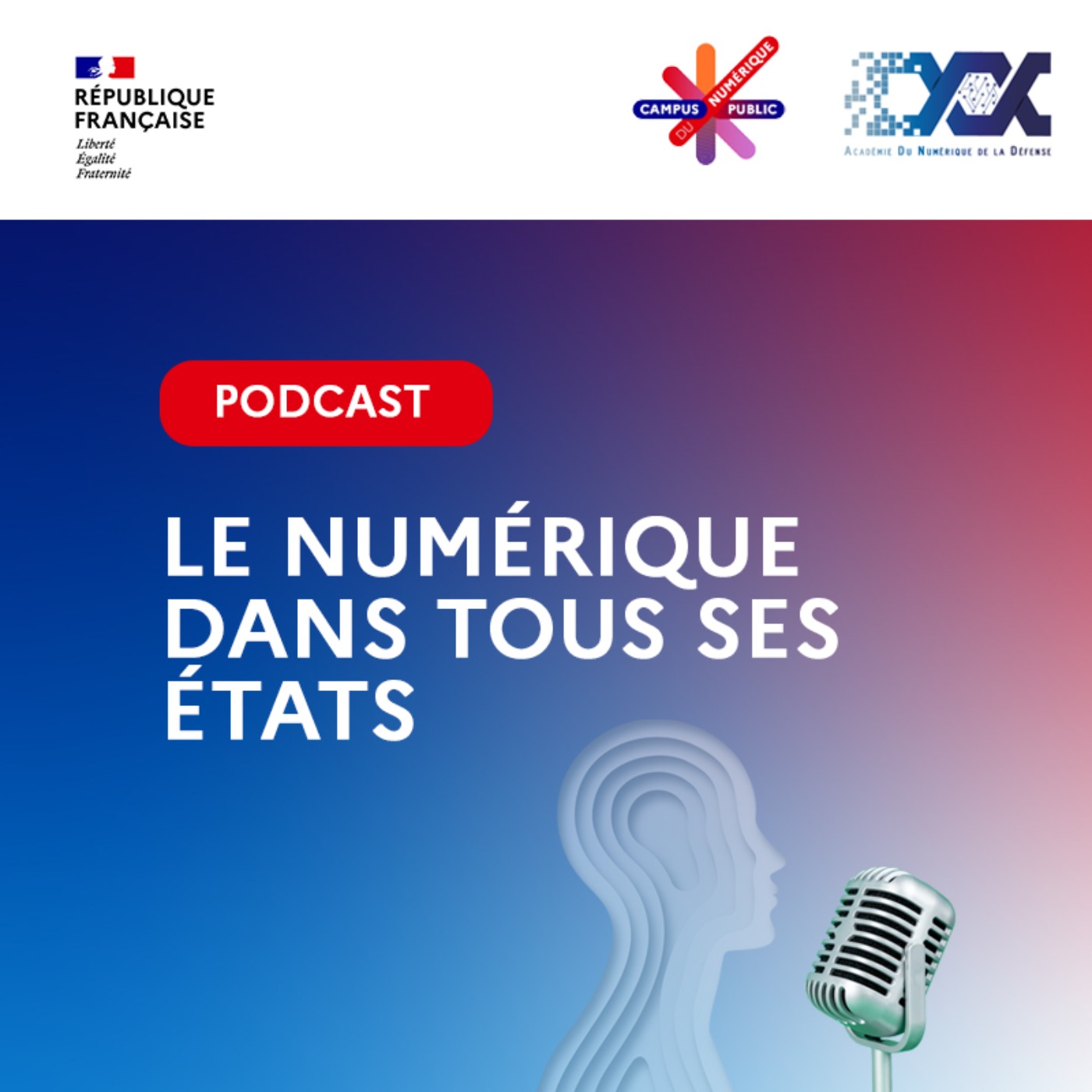 Le Numérique dans tous ses États cover art